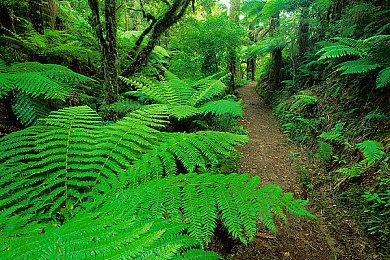 《风暴奇侠》英伟达DLSS 3实机演示 开启帧率翻了三倍